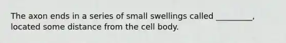 The axon ends in a series of small swellings called _________, located some distance from the cell body.