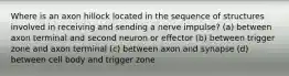 Where is an axon hillock located in the sequence of structures involved in receiving and sending a nerve impulse? (a) between axon terminal and second neuron or effector (b) between trigger zone and axon terminal (c) between axon and synapse (d) between cell body and trigger zone