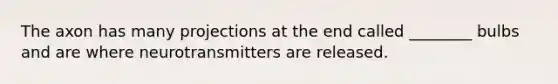The axon has many projections at the end called ________ bulbs and are where neurotransmitters are released.