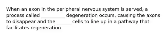 When an axon in the peripheral <a href='https://www.questionai.com/knowledge/kThdVqrsqy-nervous-system' class='anchor-knowledge'>nervous system</a> is served, a process called __________ degeneration occurs, causing the axons to disappear and the ______ cells to line up in a pathway that facilitates regeneration