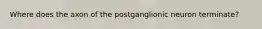 Where does the axon of the postganglionic neuron terminate?