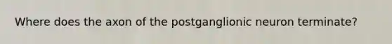 Where does the axon of the postganglionic neuron terminate?