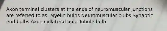 Axon terminal clusters at the ends of neuromuscular junctions are referred to as: Myelin bulbs Neuromuscular bulbs Synaptic end bulbs Axon collateral bulb Tubule bulb