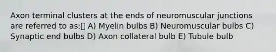 Axon terminal clusters at the ends of neuromuscular junctions are referred to as: A) Myelin bulbs B) Neuromuscular bulbs C) Synaptic end bulbs D) Axon collateral bulb E) Tubule bulb