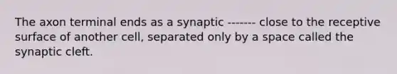 The axon terminal ends as a synaptic ------- close to the receptive surface of another cell, separated only by a space called the synaptic cleft.