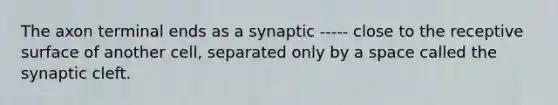 The axon terminal ends as a synaptic ----- close to the receptive surface of another cell, separated only by a space called the synaptic cleft.