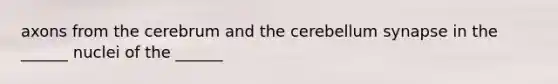 axons from the cerebrum and the cerebellum synapse in the ______ nuclei of the ______