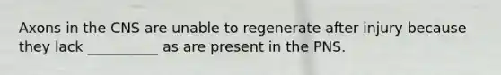 Axons in the CNS are unable to regenerate after injury because they lack __________ as are present in the PNS.