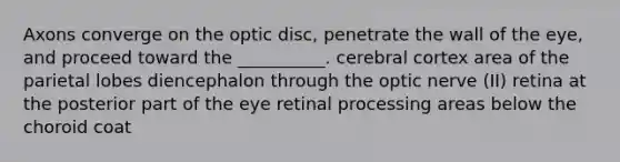 Axons converge on the optic disc, penetrate the wall of the eye, and proceed toward the __________. cerebral cortex area of the parietal lobes diencephalon through the optic nerve (II) retina at the posterior part of the eye retinal processing areas below the choroid coat