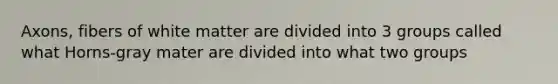 Axons, fibers of white matter are divided into 3 groups called what Horns-gray mater are divided into what two groups