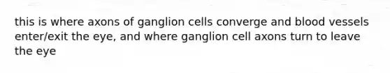 this is where axons of ganglion cells converge and blood vessels enter/exit the eye, and where ganglion cell axons turn to leave the eye