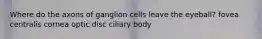 Where do the axons of ganglion cells leave the eyeball? fovea centralis cornea optic disc ciliary body