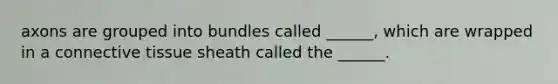 axons are grouped into bundles called ______, which are wrapped in a connective tissue sheath called the ______.