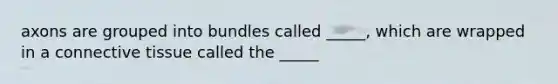 axons are grouped into bundles called _____, which are wrapped in a connective tissue called the _____