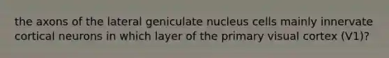 the axons of the lateral geniculate nucleus cells mainly innervate cortical neurons in which layer of the primary visual cortex (V1)?