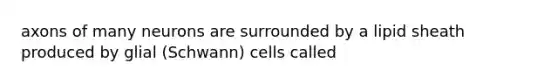 axons of many neurons are surrounded by a lipid sheath produced by glial (Schwann) cells called