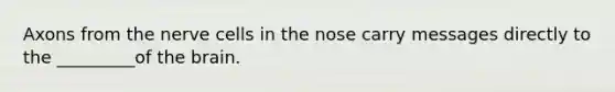 Axons from the nerve cells in the nose carry messages directly to the _________of the brain.