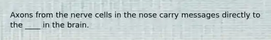 Axons from the nerve cells in the nose carry messages directly to the ____ in <a href='https://www.questionai.com/knowledge/kLMtJeqKp6-the-brain' class='anchor-knowledge'>the brain</a>.