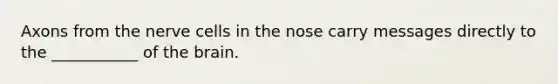 Axons from the nerve cells in the nose carry messages directly to the ___________ of the brain.