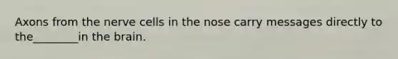 Axons from the nerve cells in the nose carry messages directly to the________in the brain.