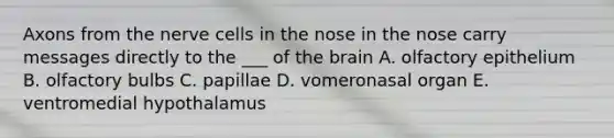 Axons from the nerve cells in the nose in the nose carry messages directly to the ___ of the brain A. olfactory epithelium B. olfactory bulbs C. papillae D. vomeronasal organ E. ventromedial hypothalamus