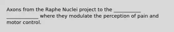 Axons from the Raphe Nuclei project to the ___________ _____________ where they modulate the perception of pain and motor control.