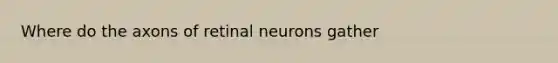 Where do the axons of retinal neurons gather