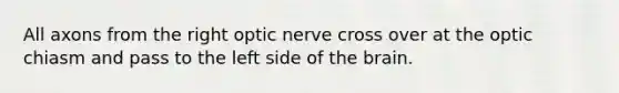 All axons from the right optic nerve cross over at the optic chiasm and pass to the left side of the brain.