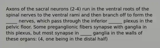 Axons of the sacral neurons (2-4) run in the ventral roots of the spinal nerves to the ventral rami and then branch off to form the _____ nerves, which pass through the inferior ______ plexus in the pelvic floor. Some preganglionic fibers synapse with ganglia in this plexus, but most synapse in _____ ganglia in the walls of these organs: (4, one being in the distal half)