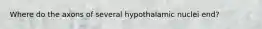 Where do the axons of several hypothalamic nuclei end?