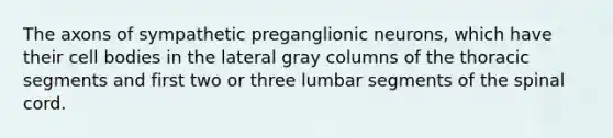 The axons of sympathetic preganglionic neurons, which have their cell bodies in the lateral gray columns of the thoracic segments and first two or three lumbar segments of the spinal cord.