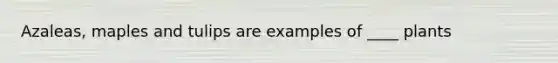 Azaleas, maples and tulips are examples of ____ plants