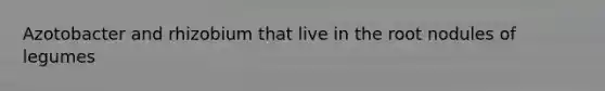 Azotobacter and rhizobium that live in the root nodules of legumes