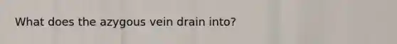 What does the azygous vein drain into?