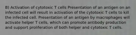 B) Activation of cytotoxic T cells Presentation of an antigen on an infected cell will result in activation of the cytotoxic T cells to kill the infected cell. Presentation of an antigen by macrophages will activate helper T cells, which can promote antibody production and support proliferation of both helper and cytotoxic T cells.