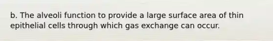 b. The alveoli function to provide a large surface area of thin epithelial cells through which <a href='https://www.questionai.com/knowledge/kU8LNOksTA-gas-exchange' class='anchor-knowledge'>gas exchange</a> can occur.