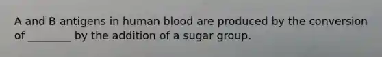 A and B antigens in human blood are produced by the conversion of ________ by the addition of a sugar group.