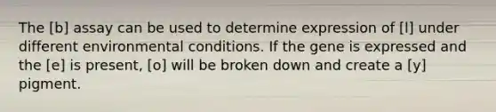 The [b] assay can be used to determine expression of [l] under different environmental conditions. If the gene is expressed and the [e] is present, [o] will be broken down and create a [y] pigment.