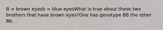 B = brown eyesb = blue eyesWhat is true about these two brothers that have brown eyes?One has genotype BB the other Bb.