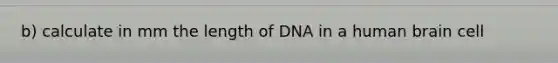 b) calculate in mm the length of DNA in a human brain cell