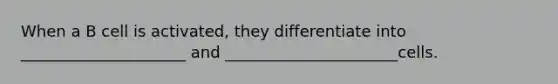 When a B cell is activated, they differentiate into _____________________ and ______________________cells.