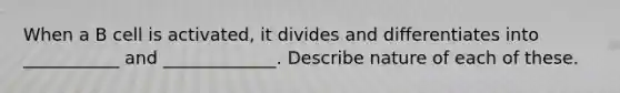 When a B cell is activated, it divides and differentiates into ___________ and _____________. Describe nature of each of these.