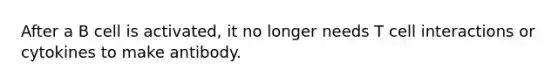 After a B cell is activated, it no longer needs T cell interactions or cytokines to make antibody.