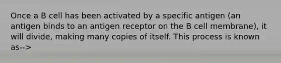 Once a B cell has been activated by a specific antigen (an antigen binds to an antigen receptor on the B cell membrane), it will divide, making many copies of itself. This process is known as-->