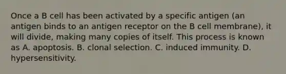 Once a B cell has been activated by a specific antigen (an antigen binds to an antigen receptor on the B cell membrane), it will divide, making many copies of itself. This process is known as A. apoptosis. B. clonal selection. C. induced immunity. D. hypersensitivity.