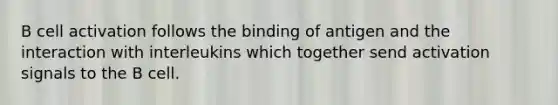 B cell activation follows the binding of antigen and the interaction with interleukins which together send activation signals to the B cell.