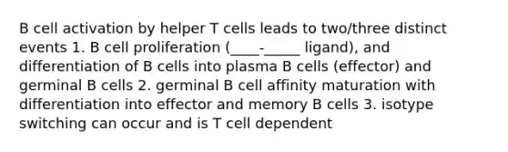 B cell activation by helper T cells leads to two/three distinct events 1. B cell proliferation (____-_____ ligand), and differentiation of B cells into plasma B cells (effector) and germinal B cells 2. germinal B cell affinity maturation with differentiation into effector and memory B cells 3. isotype switching can occur and is T cell dependent