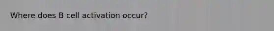 Where does B cell activation occur?