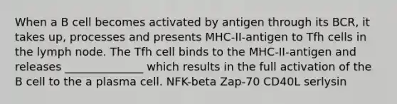 When a B cell becomes activated by antigen through its BCR, it takes up, processes and presents MHC-II-antigen to Tfh cells in the lymph node. The Tfh cell binds to the MHC-II-antigen and releases ______________ which results in the full activation of the B cell to the a plasma cell. NFK-beta Zap-70 CD40L serlysin