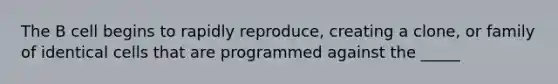 The B cell begins to rapidly reproduce, creating a clone, or family of identical cells that are programmed against the _____